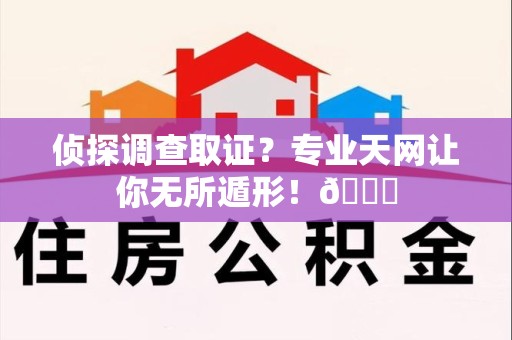 上杭侦探调查取证？专业天网让你无所遁形！😎