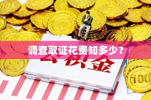 上杭调查取证花费知多少？