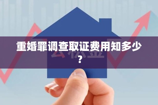 上杭重婚罪调查取证费用知多少？