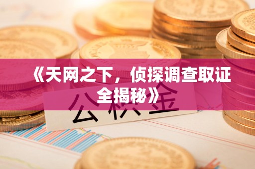 上杭《天网之下，侦探调查取证全揭秘》
